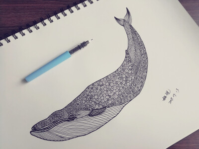 线描.鲸鱼