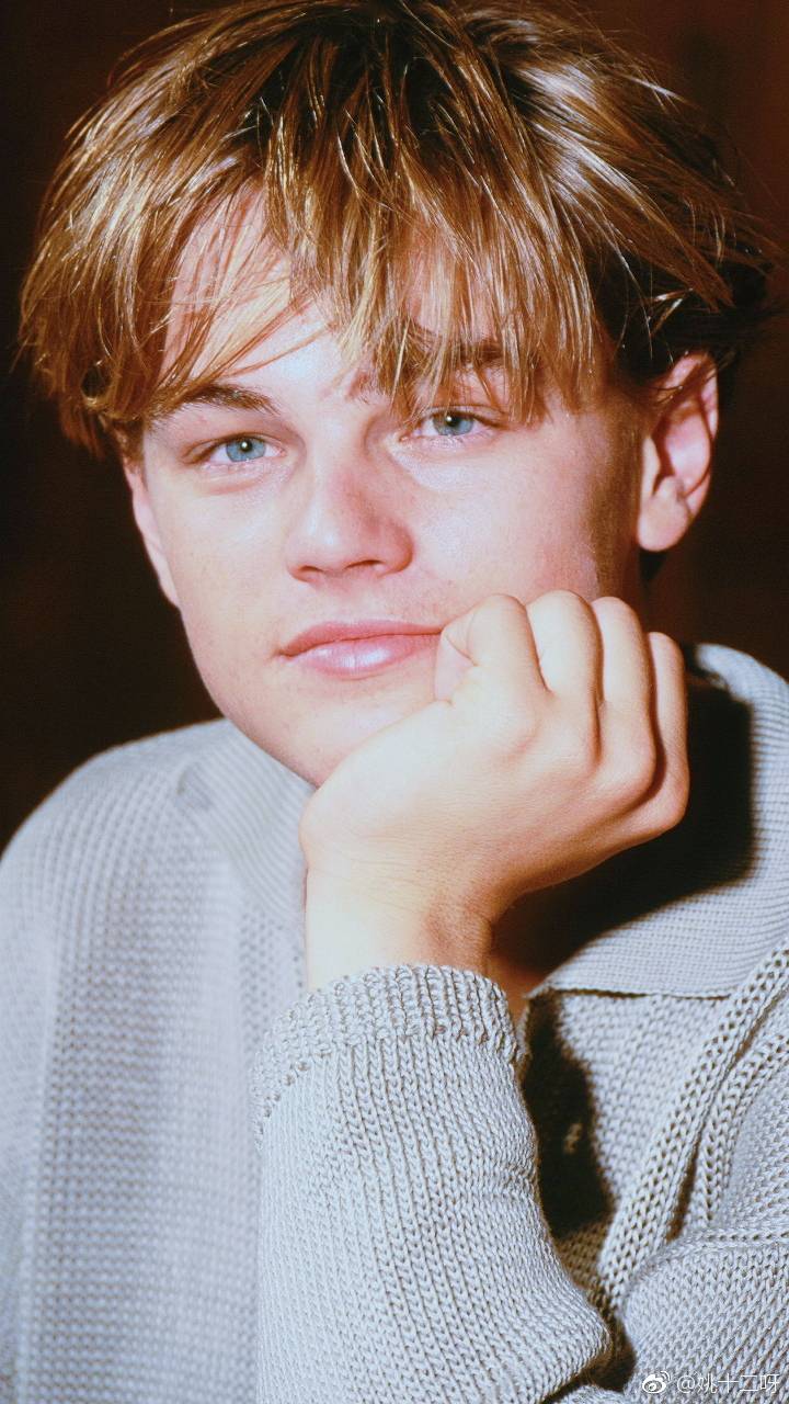 莱昂纳多·迪卡普里奥leonardo dicaprio