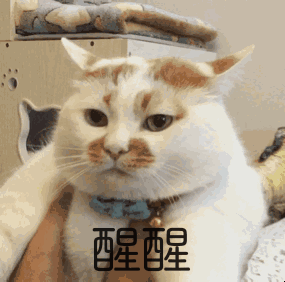萌喵表情包卡哇伊～*