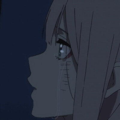 darling in the franxx 002*016 情头闺蜜头横屏壁纸 u~~u自截