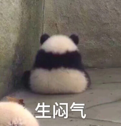 生气不好哄表情