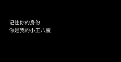 逗比qq背景图