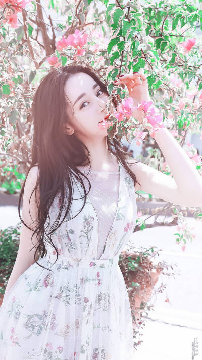 迪丽热巴