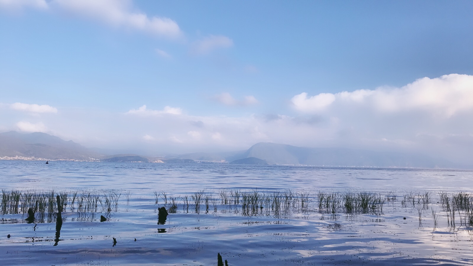 风花雪月 - 堆糖,美图壁纸兴趣社区