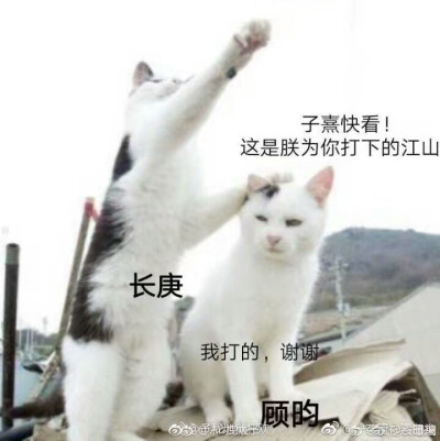 《杀破狼》表情包.哈哈哈哈哈哈