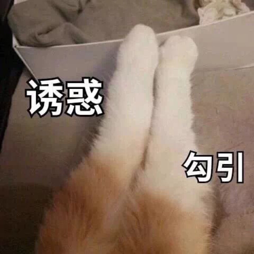 可爱 朋友圈 搞笑