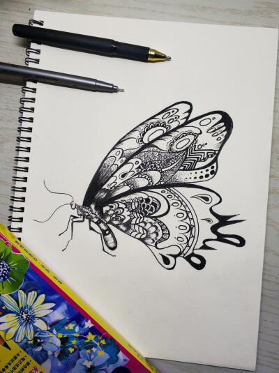 线描画作品 美丽的昆虫:蝴蝶,蜻蜓和飞蛾 0 33 彭sir66  发布到  毕业