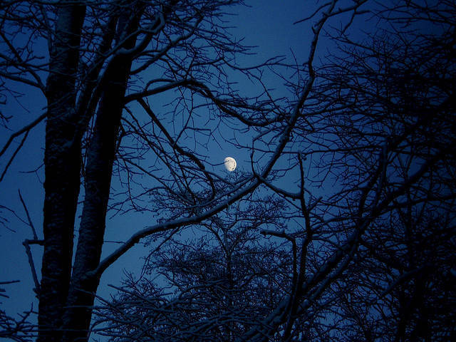 遗忘很长。聂鲁达《二十首情诗与绝望的歌》