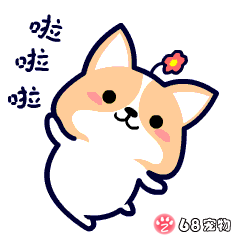 68宠物app微信qq搞笑萌宠物动态表情:开心