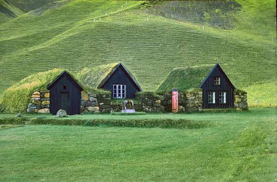 你有见过屋顶长满绿色小草的房子吗?