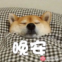 68宠物app微信qq搞笑萌宠物表情:晚安