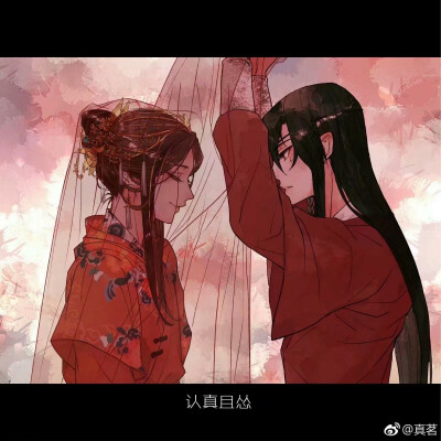 天官赐福 花怜 谢怜 花城