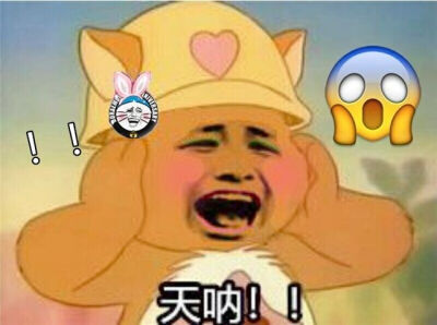 斗图表情包!自作