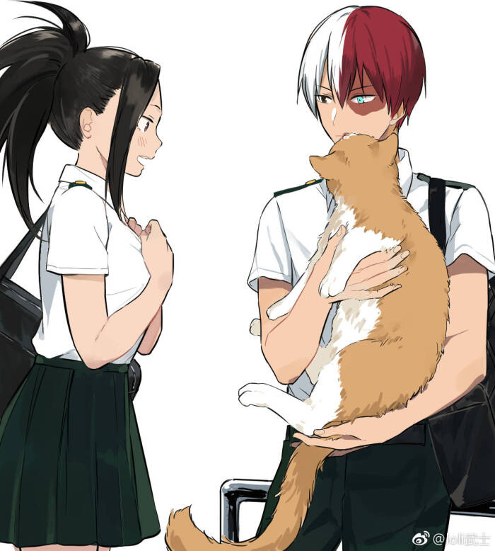 轰百 轰焦冻 八百万百 堆糖 美图壁纸兴趣社区