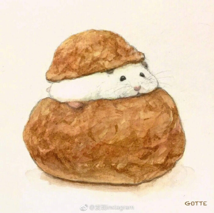 日本插画师gotte用画笔描绘出小仓鼠的精致生活.ins:gottehamham