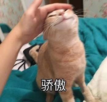 表情包来一啵