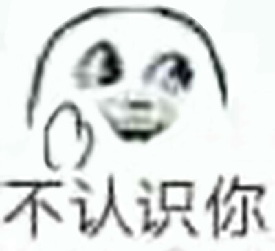 我不认识你表情包