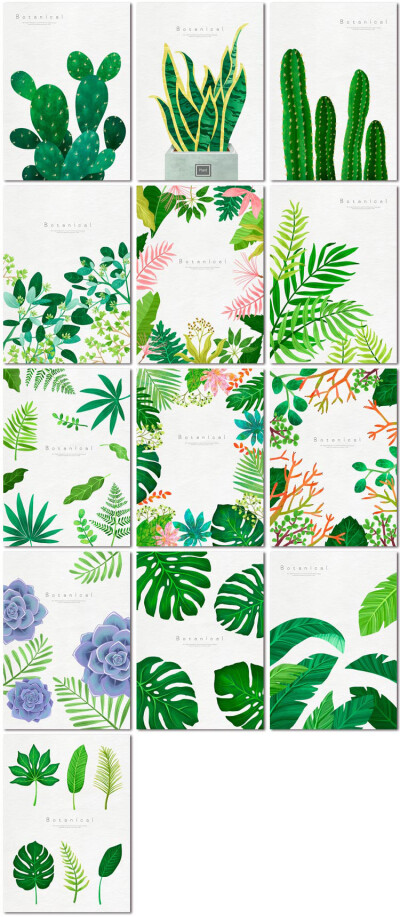 森系绿色植物仙人掌多肉植物绿叶背景盆栽海报psd模板素材设计