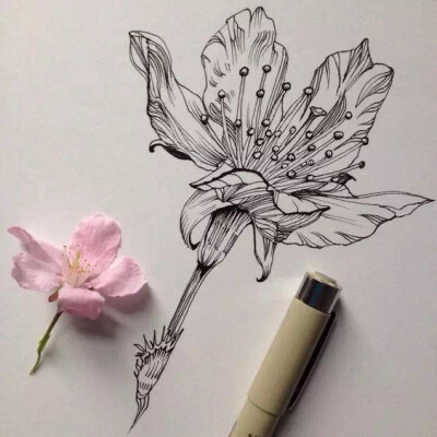 线描 儿童画 创意 装饰画 水彩笔 彩色 黑白 花瓶 写生 速写 花卉