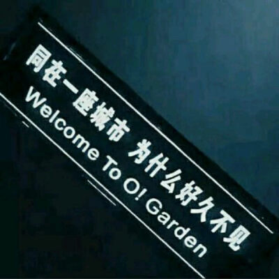 徒手摘星而不得爱