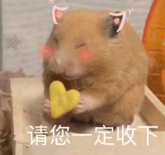 猫咪狗狗老鼠鸭子表情包可爱蠢萌套路小表情大表情打电话表情包小猪