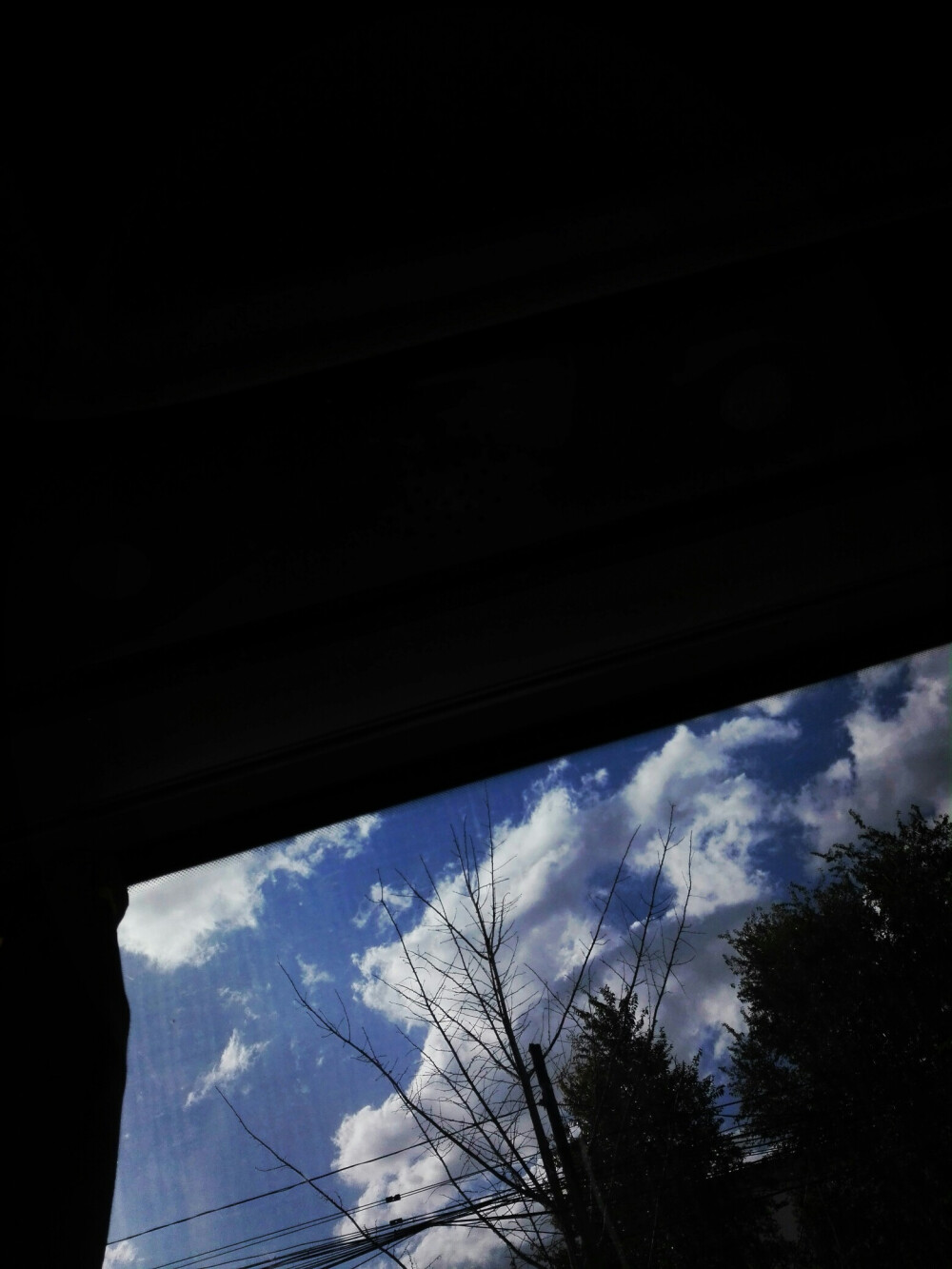 坐在车上拍窗外,觉得拍出了壁纸的感觉还挺好看