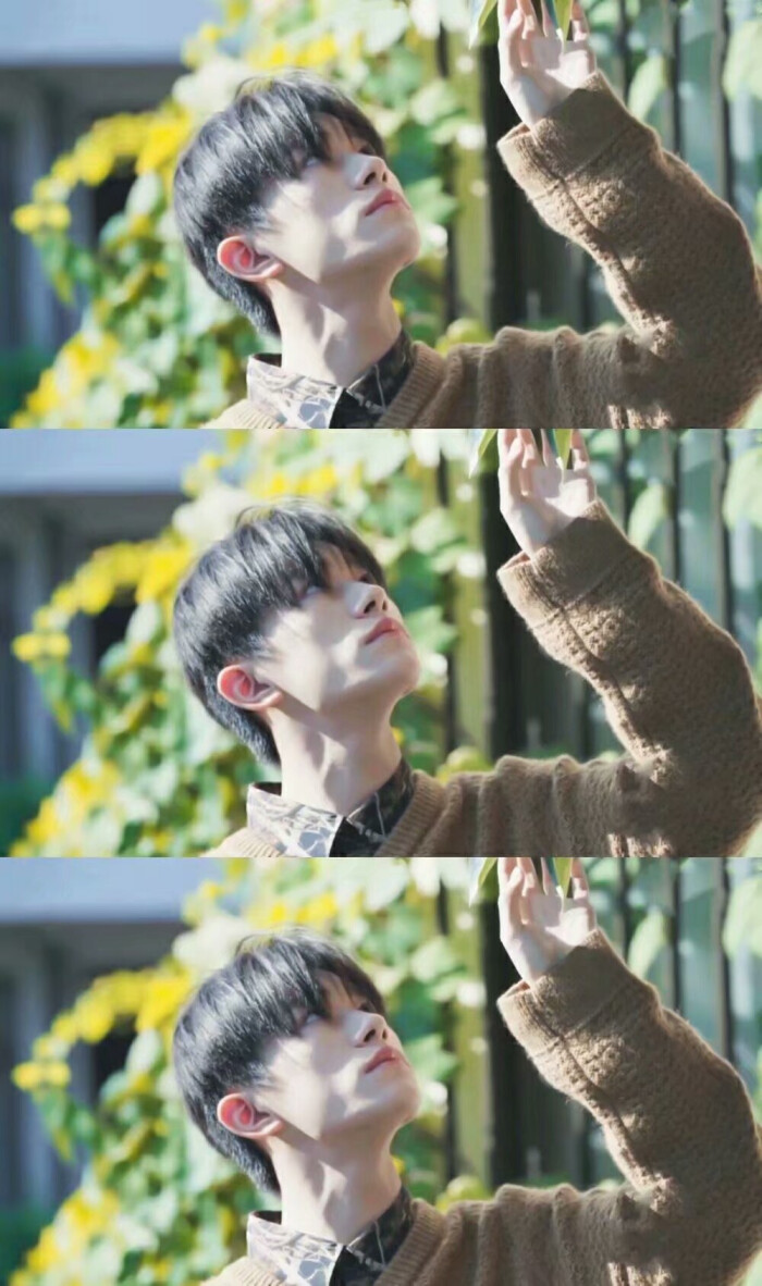 九宫格 易烊千玺