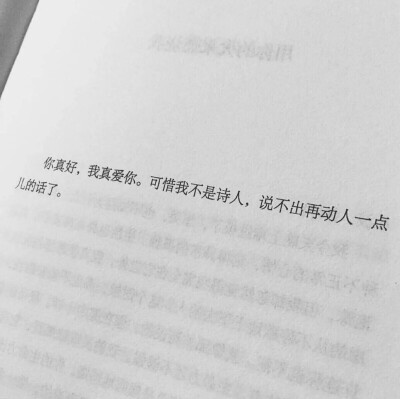 脾气暴躁的人其实挺容易哄反倒是那些看似永远没脾气的人一旦离开就