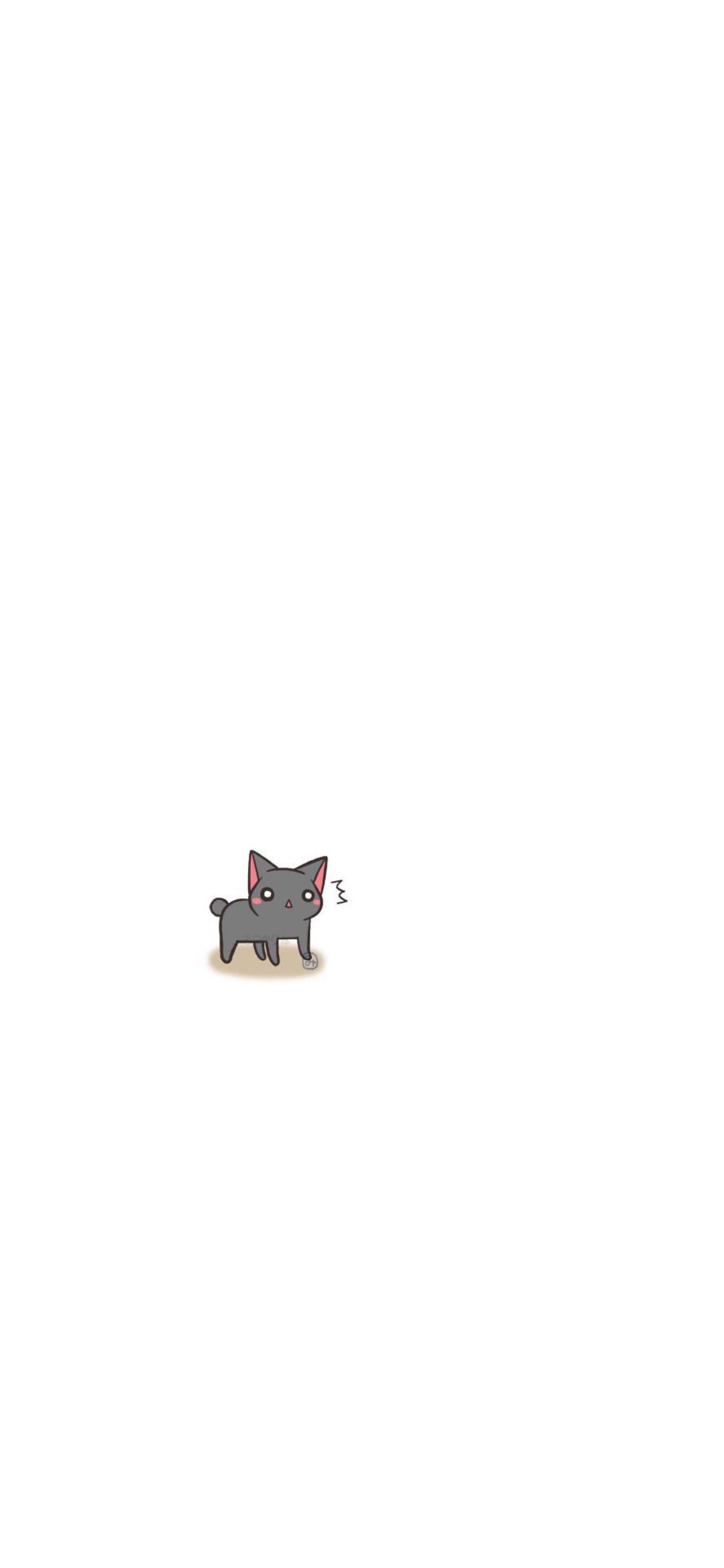 白底 猫咪