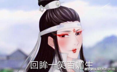 魔道祖师 表情包