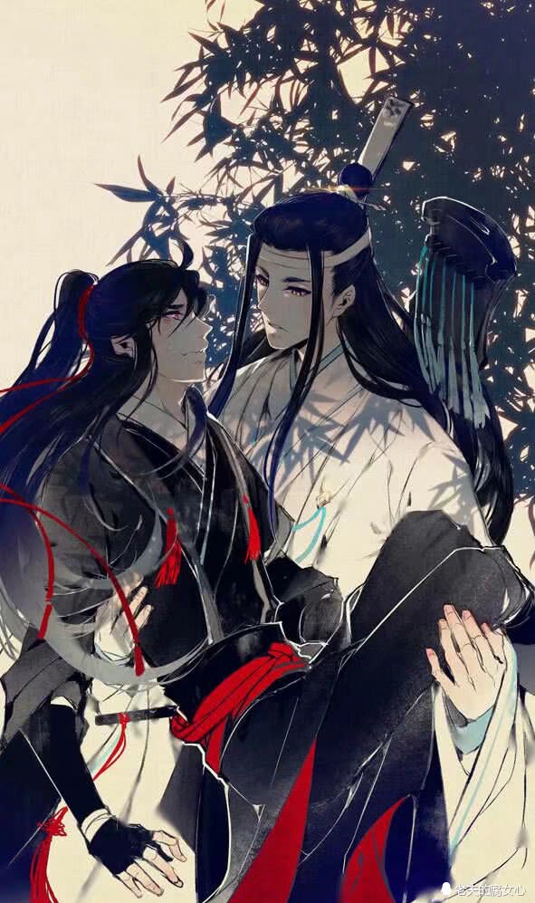 二次元#小说#魔道祖师#墨香铜臭著#魏无羡#蓝忘机