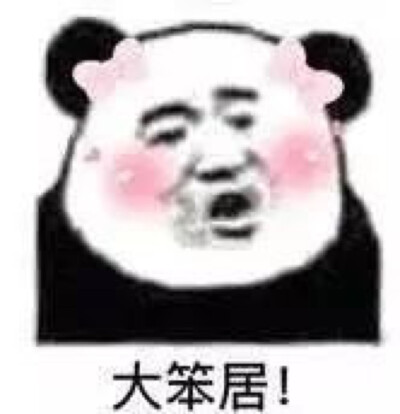 表情包 大笨居