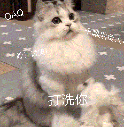 喵表情包 侵删抱歉