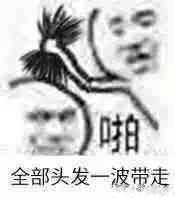 表情包[全部头发一波带走]