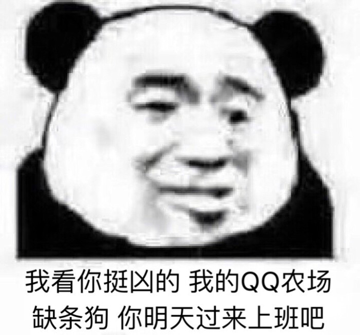 表情包[我看你挺凶的,我的qq农场缺条狗,你明天过来上班吧]