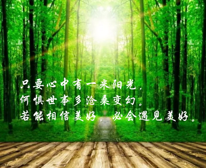 只要心中有一米阳光,何惧世事多沧桑变幻.若能相信美好,必会遇见美好.