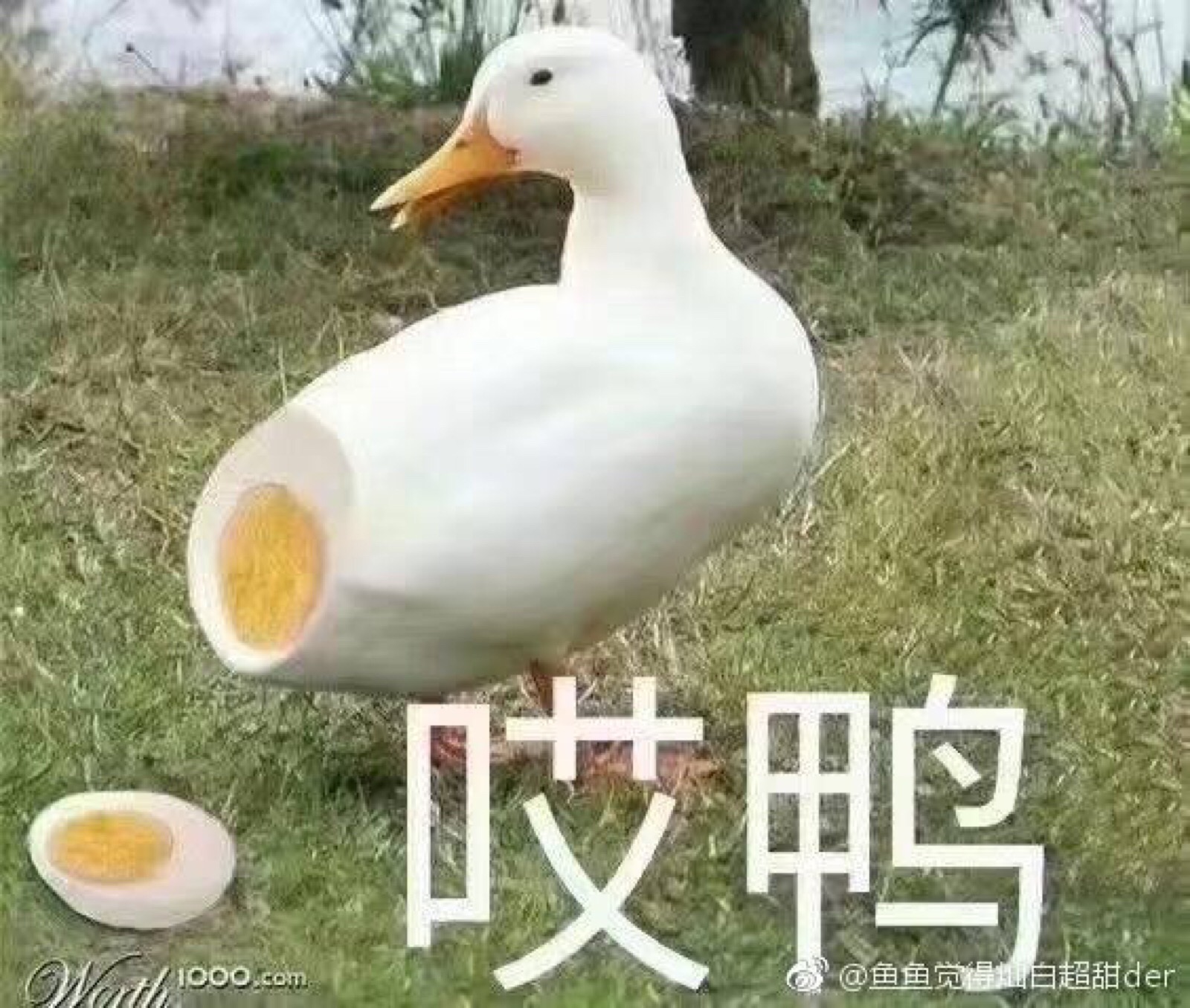 沙雕头像