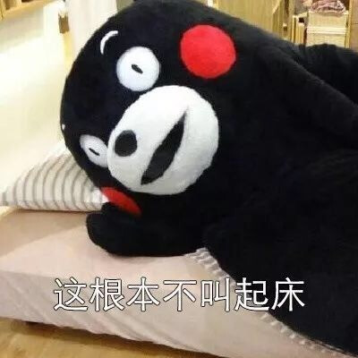 七夕你一个人过吗表情包