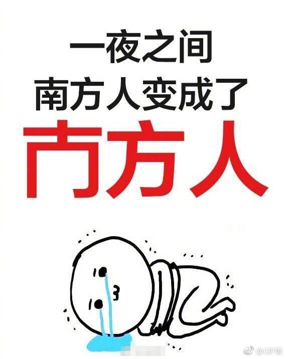 双十一后遗症 你被"套路"着买了什么不太需要的东西! 「搞笑」