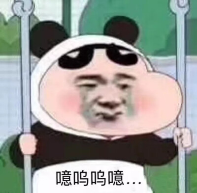 不是沙雕!