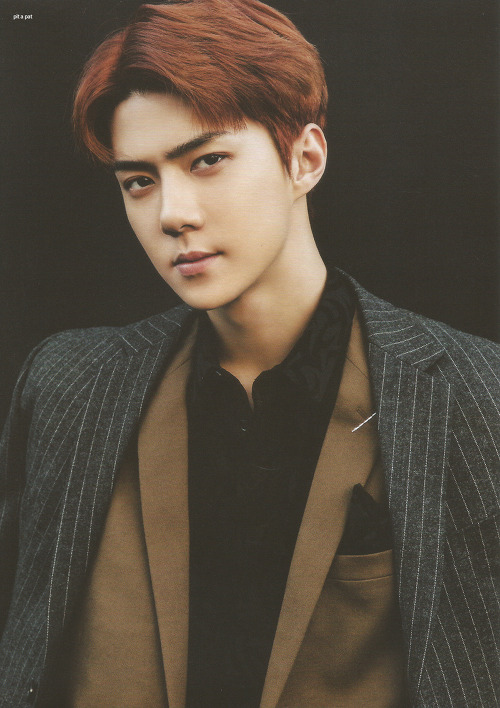 Exo Sehun 吴世勋 Cr Twitter Xo Pitapat… 高清图片，堆糖，美图壁纸兴趣社区