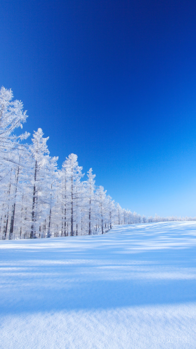 北海道面包 堆糖 美图壁纸兴趣社区