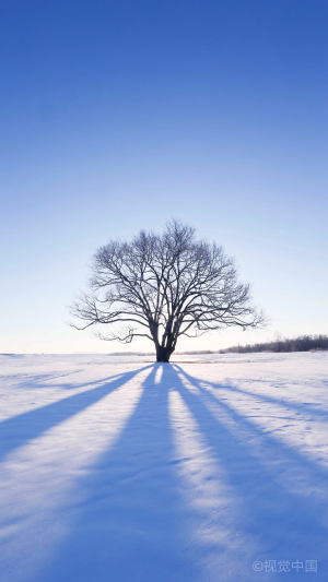 北海道雪景手机壁纸 堆糖 美图壁纸兴趣社区