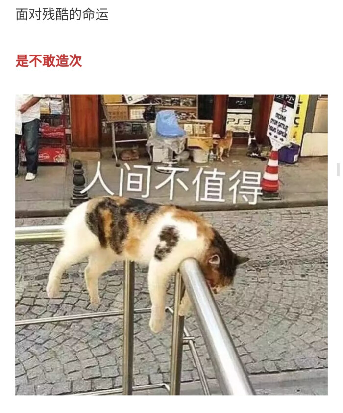 命运啊 