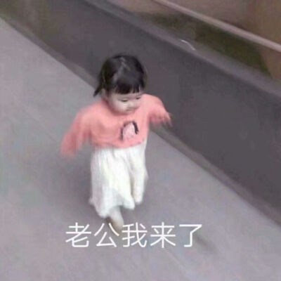 坐等的表情包