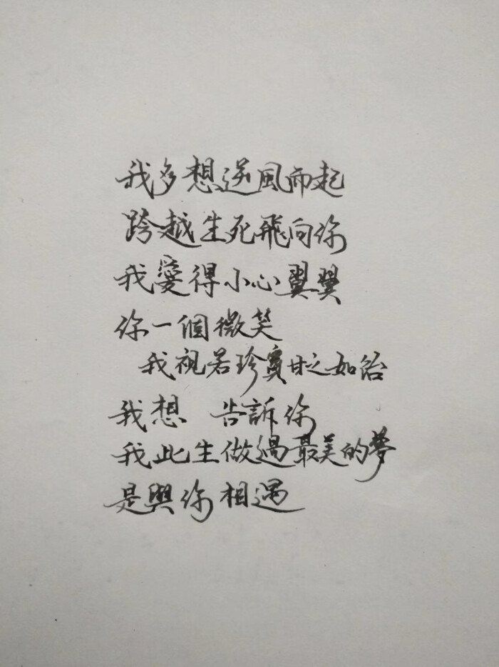 我此生做过最美的梦是与你相遇