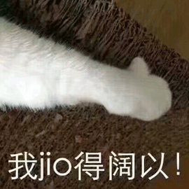 jiojio表情包