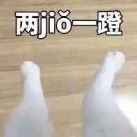 jiojio表情包