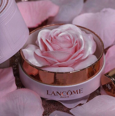 高光| lancome la rose poudre,兰蔻圣诞限量玫瑰高光蜜粉盒,bling