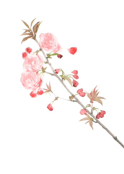 花草树木78免扣 - 堆糖,美图壁纸兴趣社区